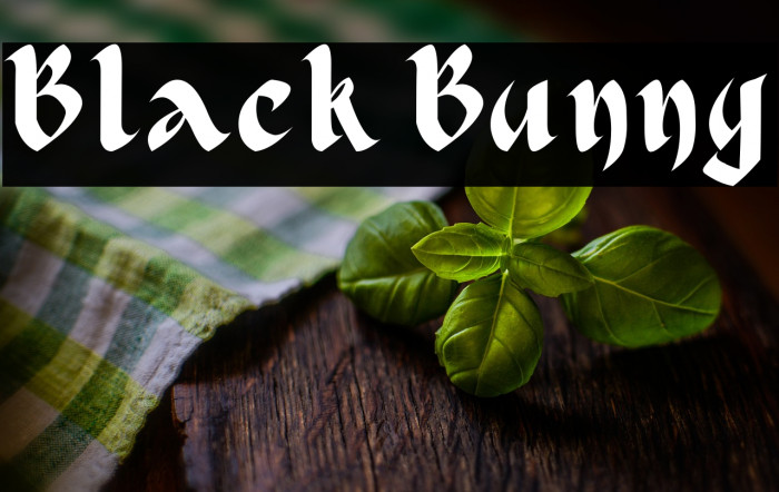 Black Bunny Example 2