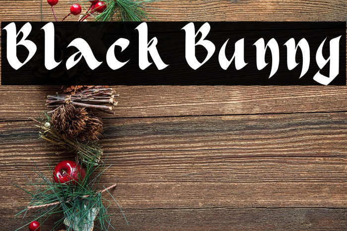 Black Bunny Example 3