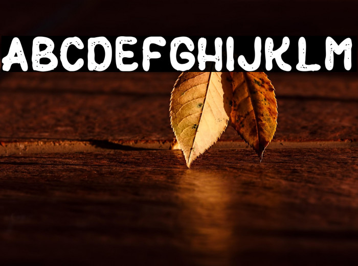 Black Burger Rough Example 3