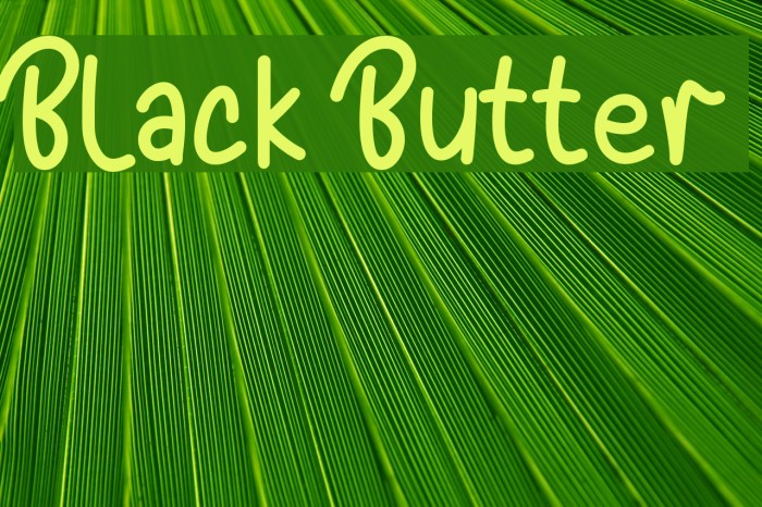 Black Butter Font examples