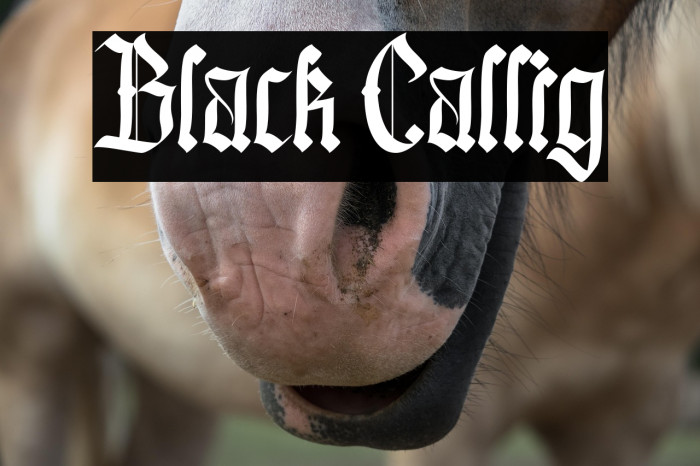 Black Callig Example 1