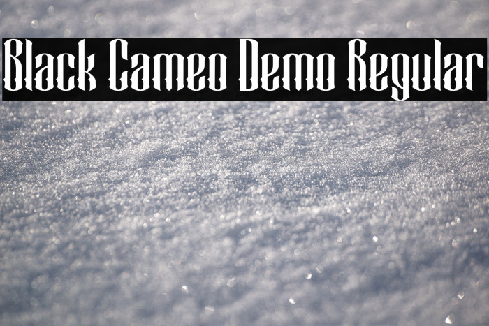 Black Cameo Demo Regular Example 1