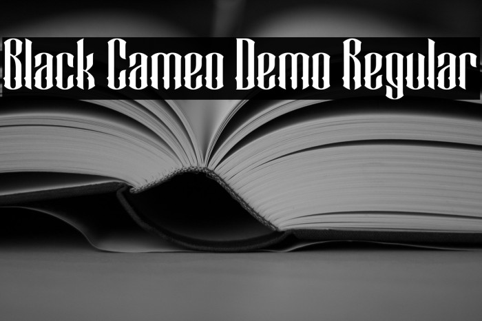 Black Cameo Demo Regular Example 2
