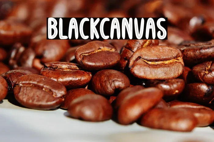 Black Canvas Example 1