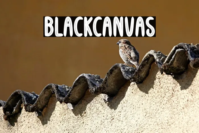Black Canvas Example 3