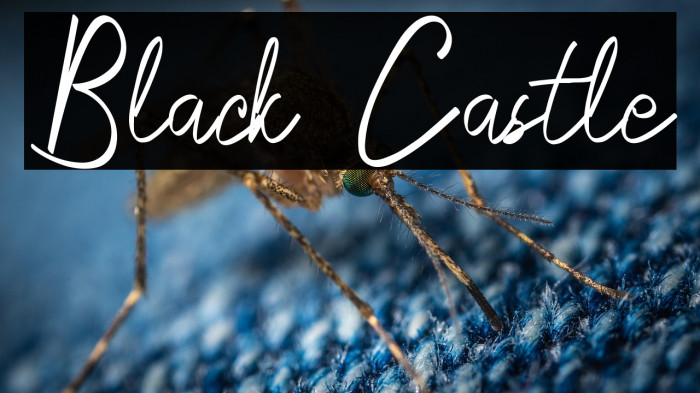 Black Castle Example 2