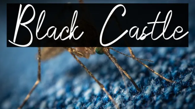 Black Castle Example 2