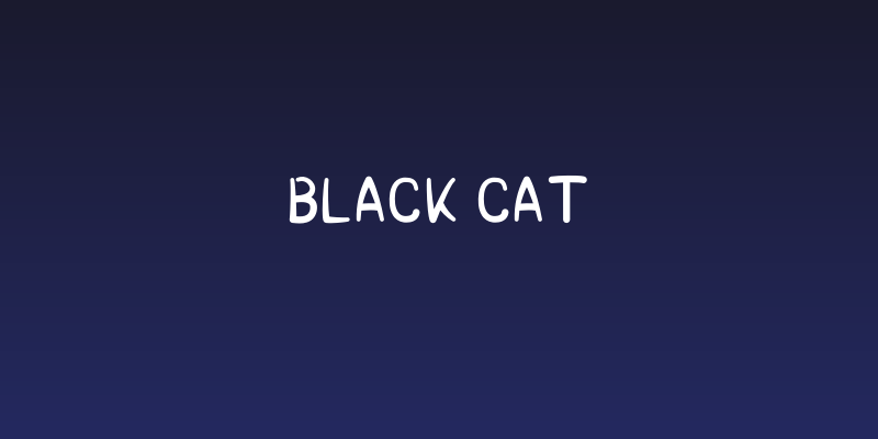 Black Cat Social Header