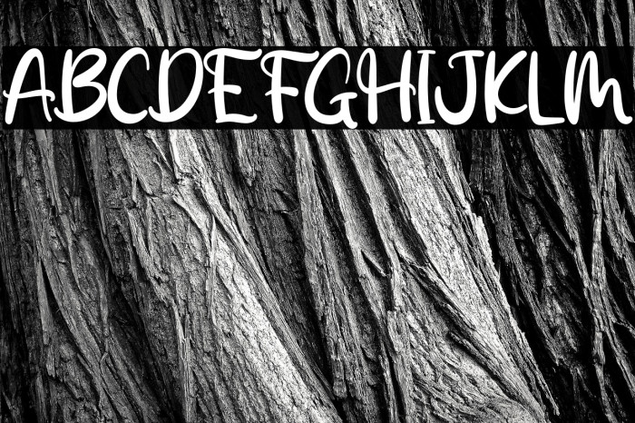 Black Cats Example 1