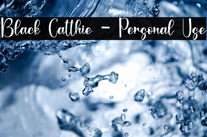 Black Catthie - Personal Use Example 1