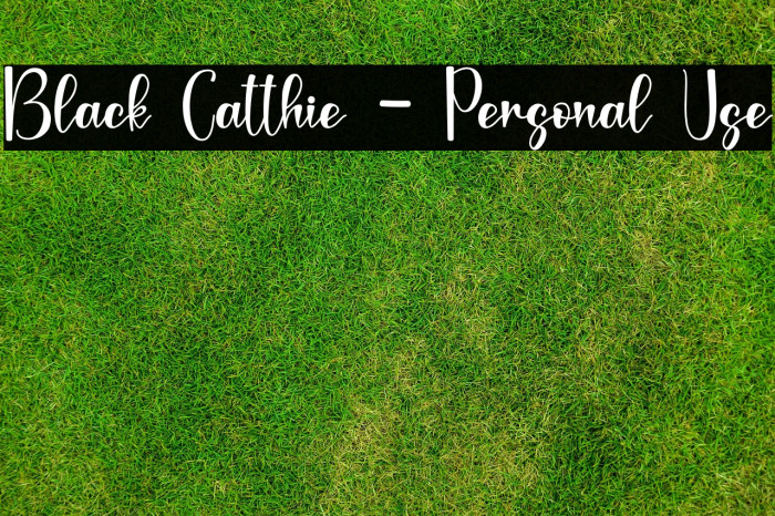 Black Catthie - Personal Use Example 2