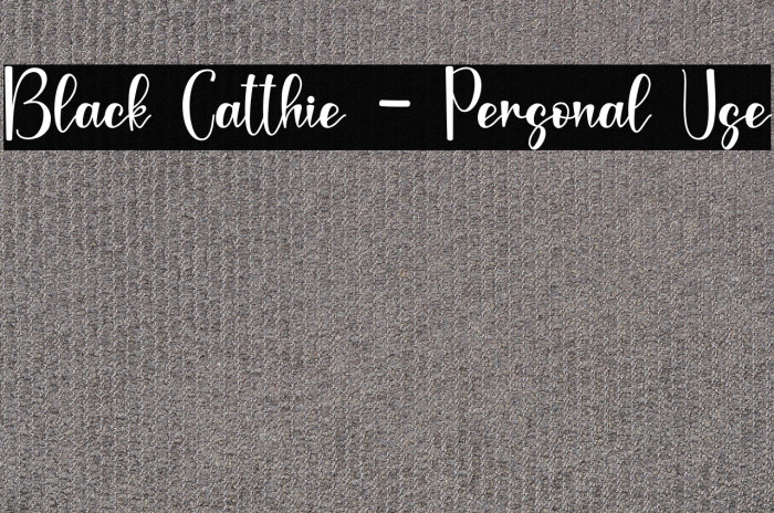 Black Catthie - Personal Use Example 3