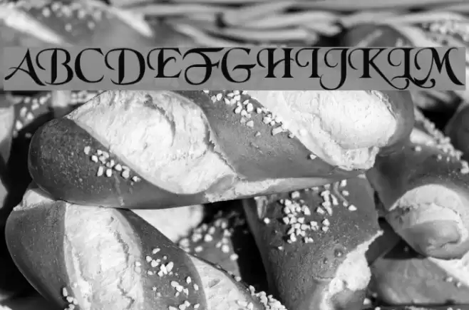 Black Chancery Font examples