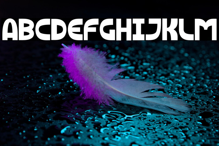 Black Chocolate Example 1