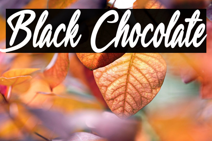 Black Chocolate Example 2