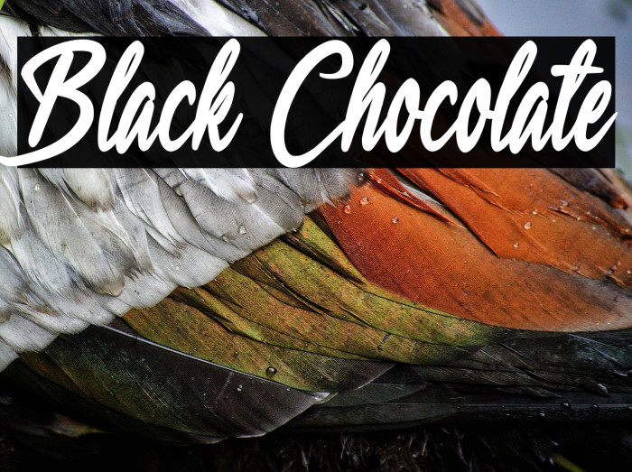 Black Chocolate Example 3