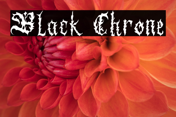 Black Chrone Example 1