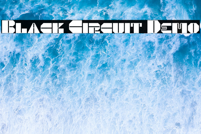 Black Circuit Demo Example 2