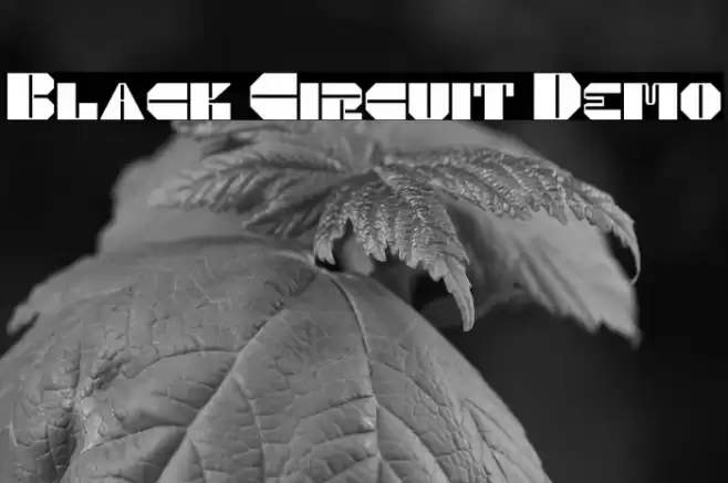 Black Circuit Demo Fuentes examples