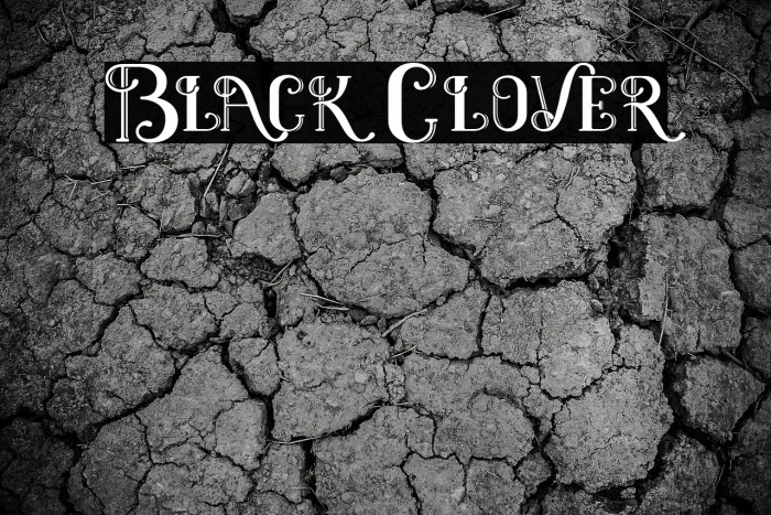Black Clover Example 1