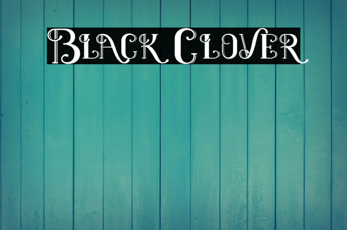 Black Clover Example 3