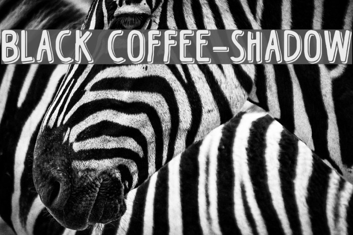 Black Coffee-Shadow Font examples