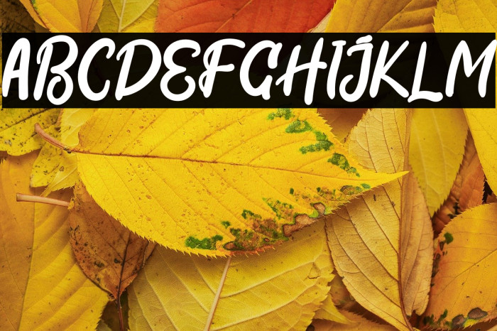 Black Coffee Example 3