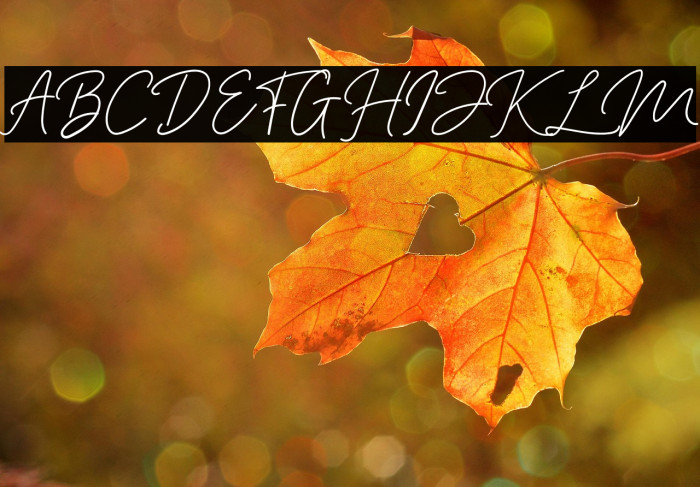 Black Colnes Example 2