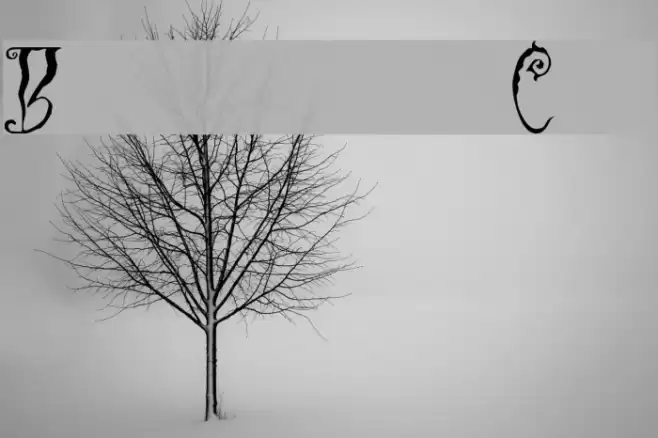 Black Cow Font examples