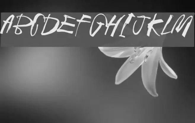 Black Crow King 2 Font examples