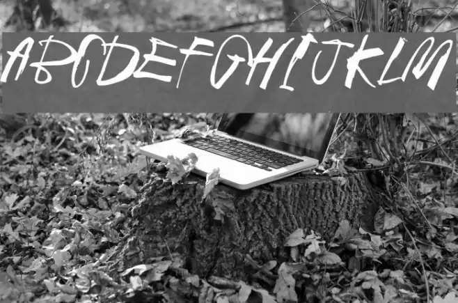 Black Crow King Font examples