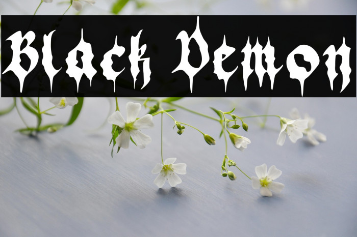 Black Demon Example 2