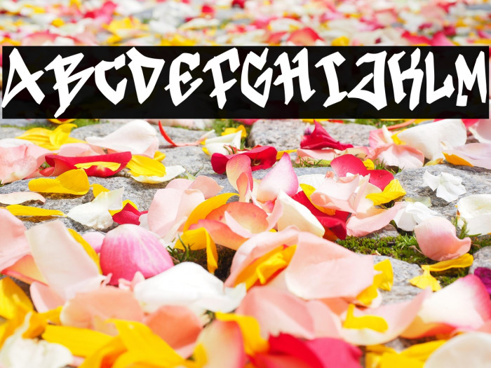 Black Destroy Personal Example 2