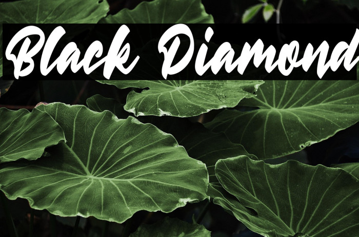 Black Diamond Example 1
