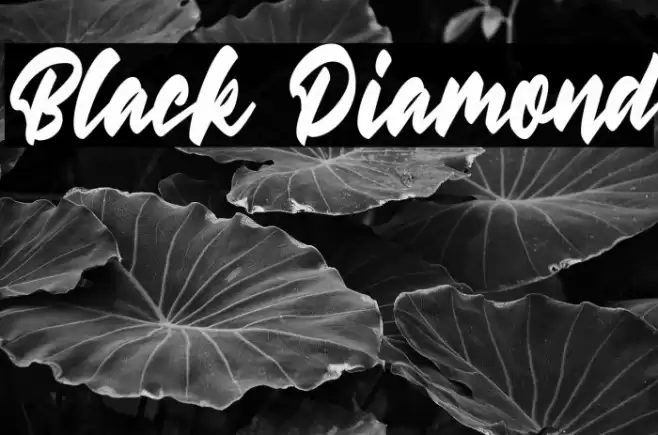 Black Diamond Font examples