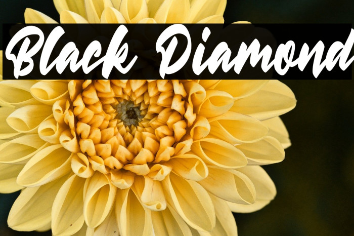 Black Diamond Example 2