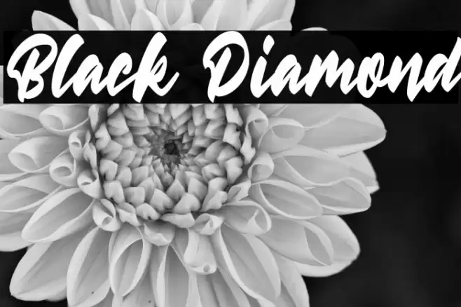 Black Diamond Font examples