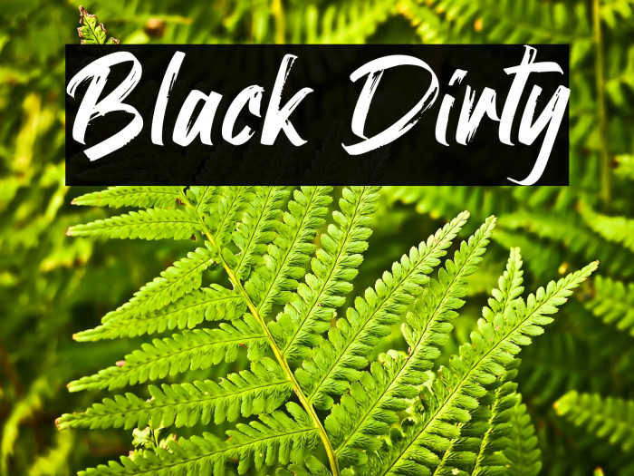 Black Dirty Example 2