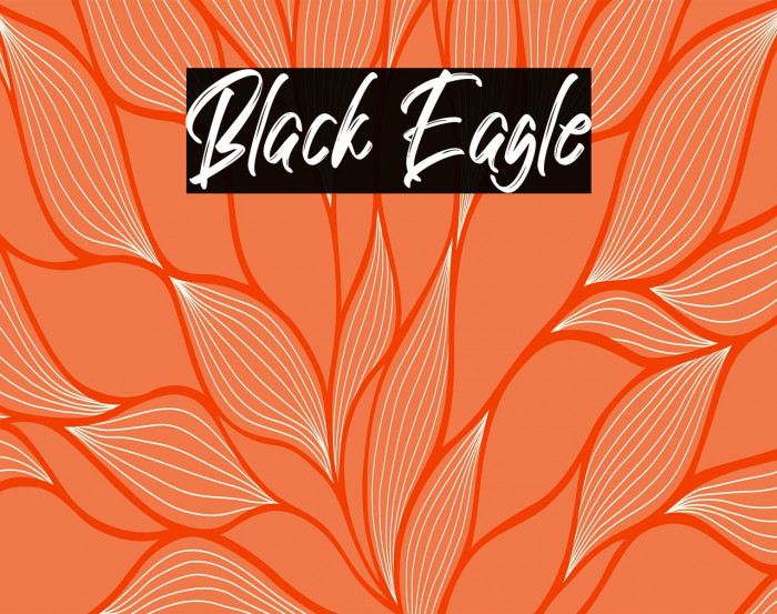 Black Eagle Example 1