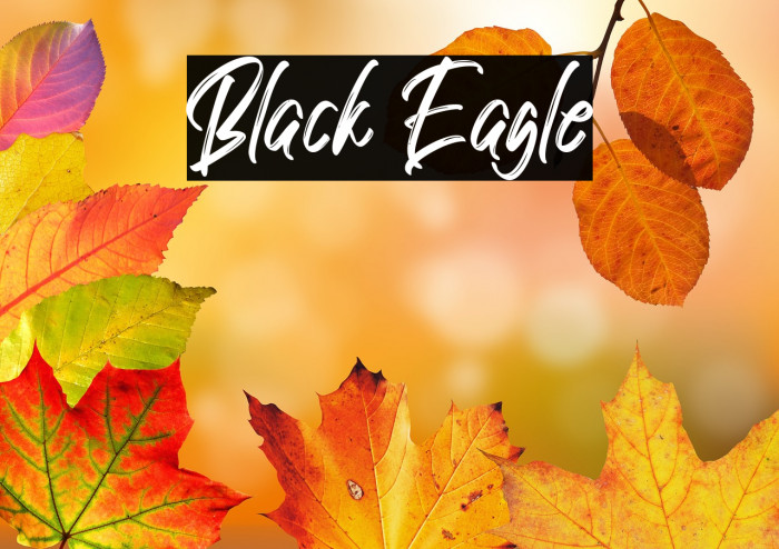 Black Eagle Example 3