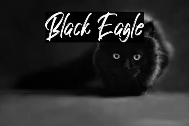 Black Eagle Font examples