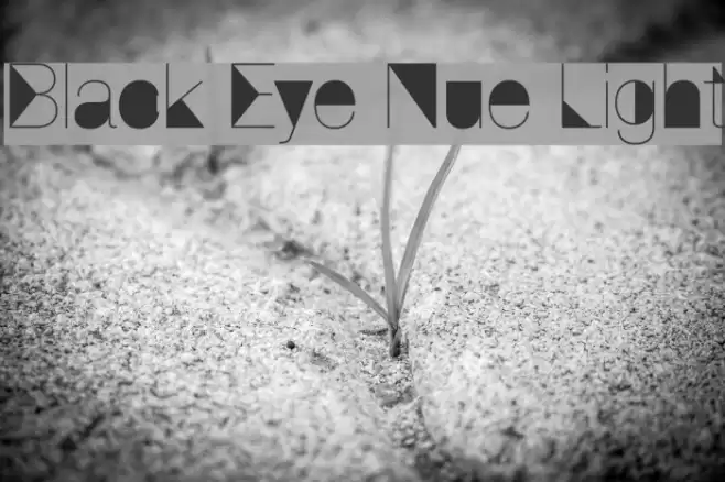 Black Eye Nue Light Polices examples