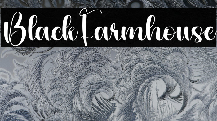 Black Farmhouse Example 1