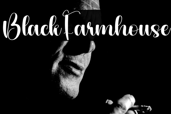 Black Farmhouse Example 2