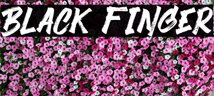 Black Finger Font examples