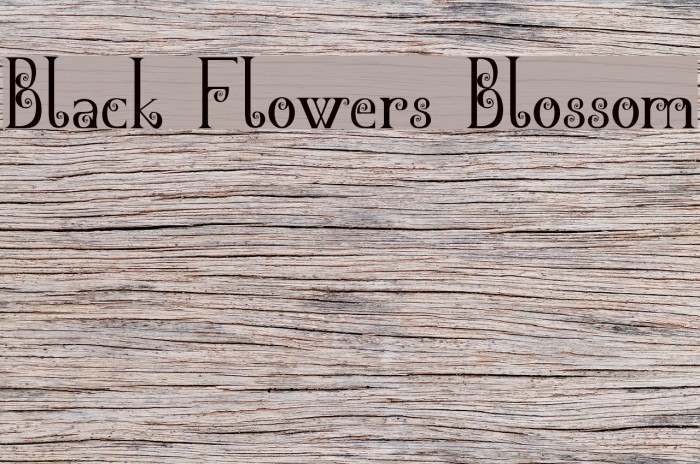 Black Flowers Blossom Font examples