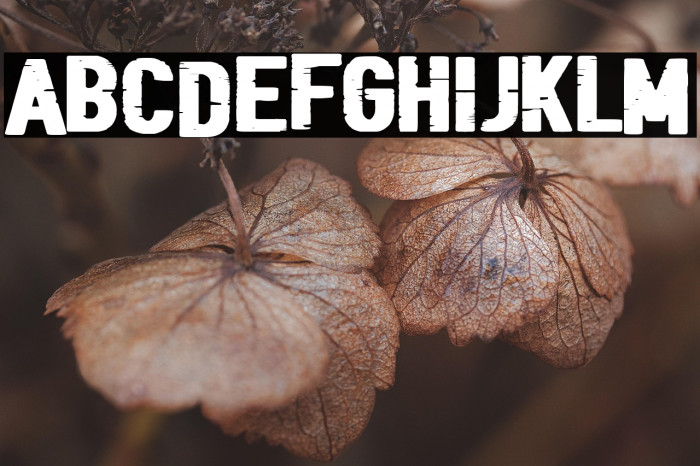 Black Folder Example 1