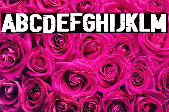 Black Folder Example 2