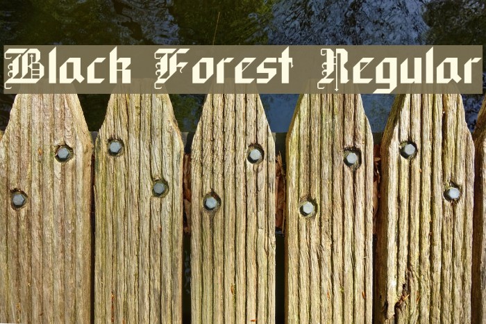 Black Forest Regular Font examples