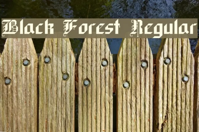 Black Forest Regular Example 3
